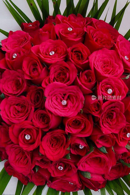 一束红玫瑰在一束小圆水晶与绿色叶子周围，情人节浪漫的花朵照片。