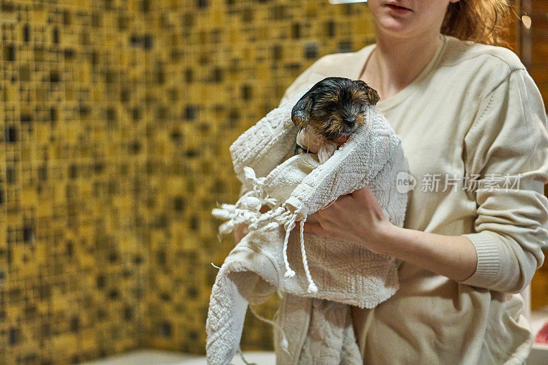 他们把小狗带回家。在家里把狗洗干净，用毛巾擦干。