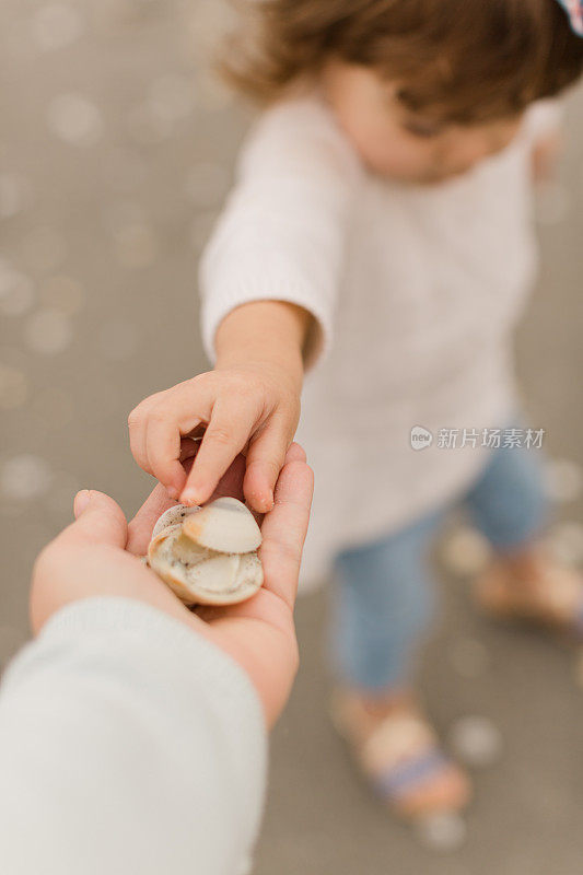 2021年1月一个寒冷的冬日，21个月大的女婴在佛罗里达州朱诺海滩的沙滩上收集贝壳