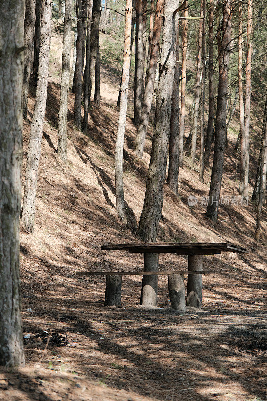 森林里的野餐桌