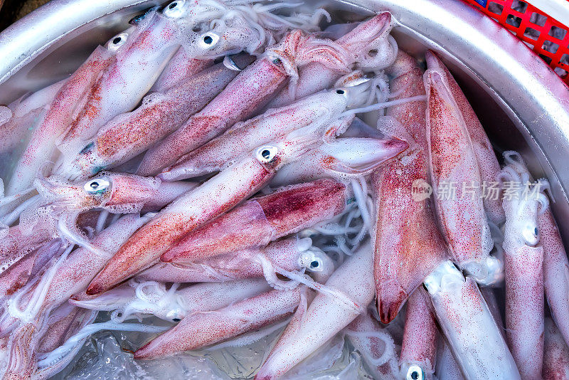 新鲜的墨鱼在鱼市上被捕获。