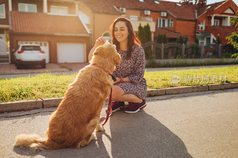 狗主人在放松的散步中休息，奖励她的金毛猎犬一块狗饼干