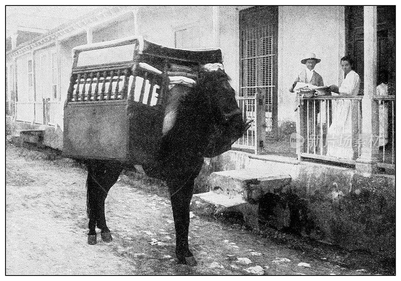 古董黑白照片:小贩和他的装备，古巴