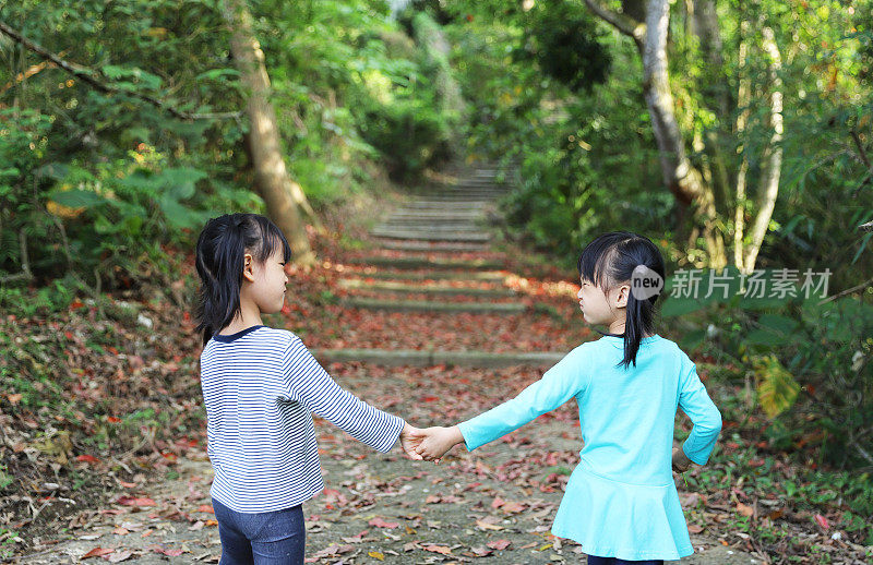 女孩们在森林里玩桐花和枯叶。