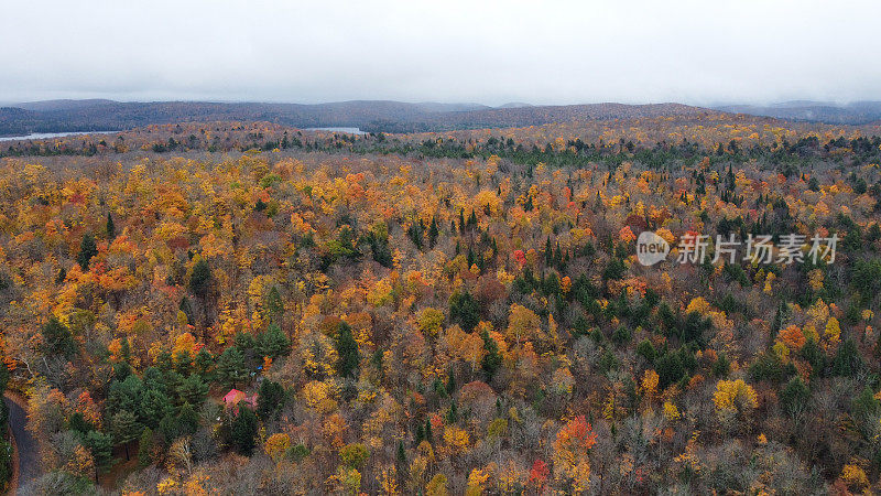 鸟瞰图乡村道路在黄色和橙色的秋天森林在马斯科卡加拿大