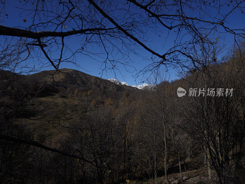 皮埃蒙特的奥纳瓦索山