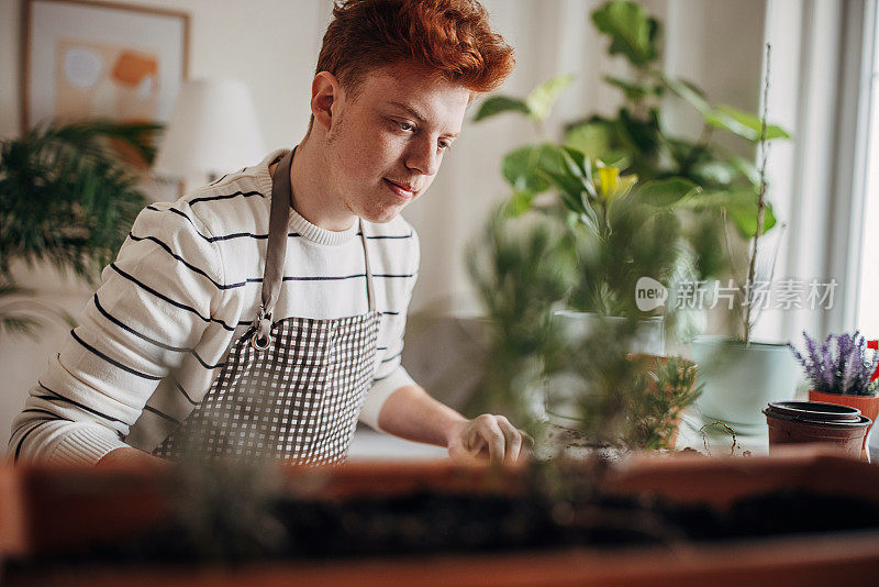 红发少年在家里种植室内植物