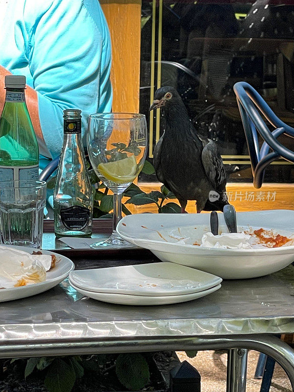 路边餐馆外，鸽子栖息在花园庭院的金属桌椅上，鸟在露天餐桌上捡脏盘子上的面包屑