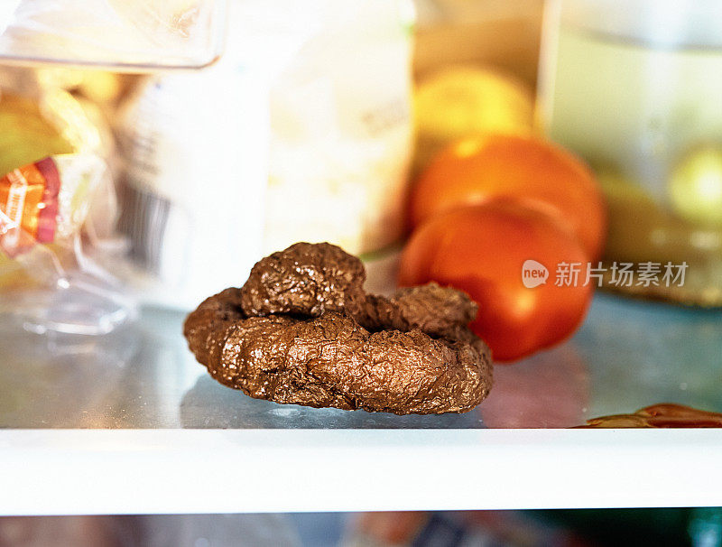 凌乱的冰箱里令人作呕的狗屎象征着不卫生或不健康的饮食