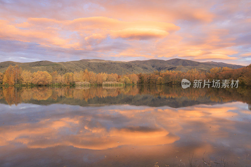 生机勃勃的秋日夕阳，新西兰麦肯齐国家