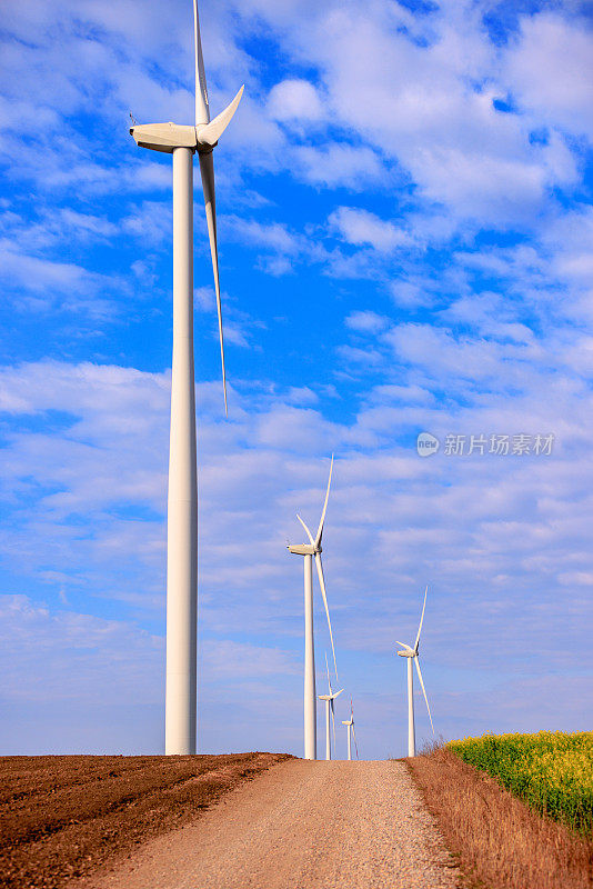 田地里土路旁一排排的风力涡轮机