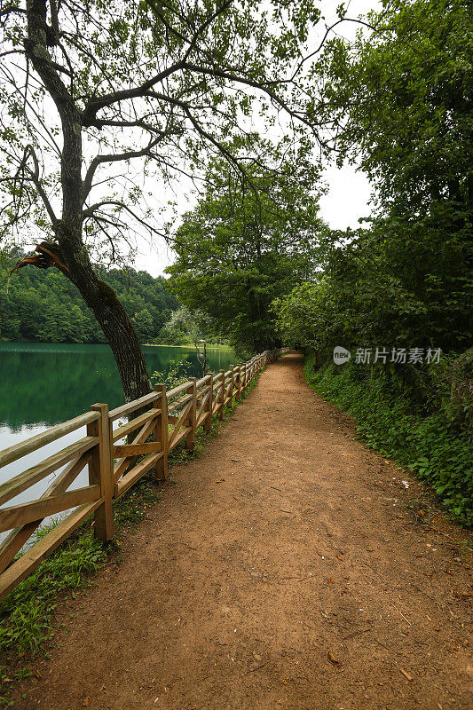 林中小径，林边湖边