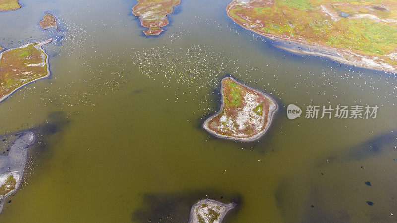 盐沼和海岸线-鸟瞰图