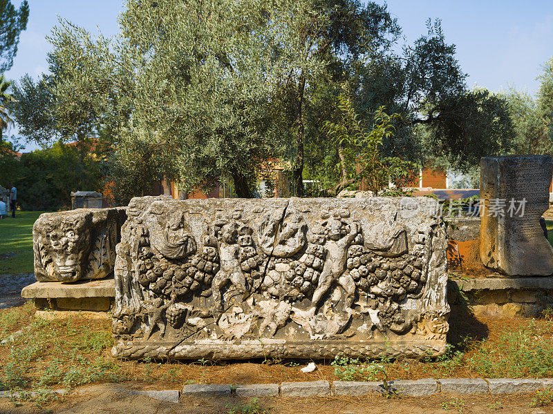 春草古城，aydın。火鸡