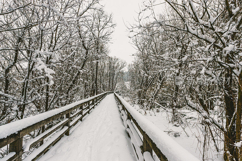 美丽的冬季风景。森林或公园里的木桥。