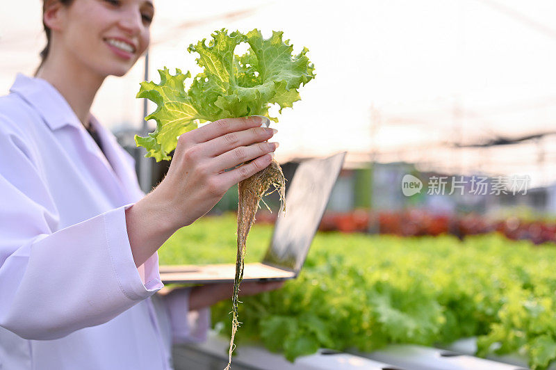 聪明的白人女性农业科学家检查蔬菜的污染和质量