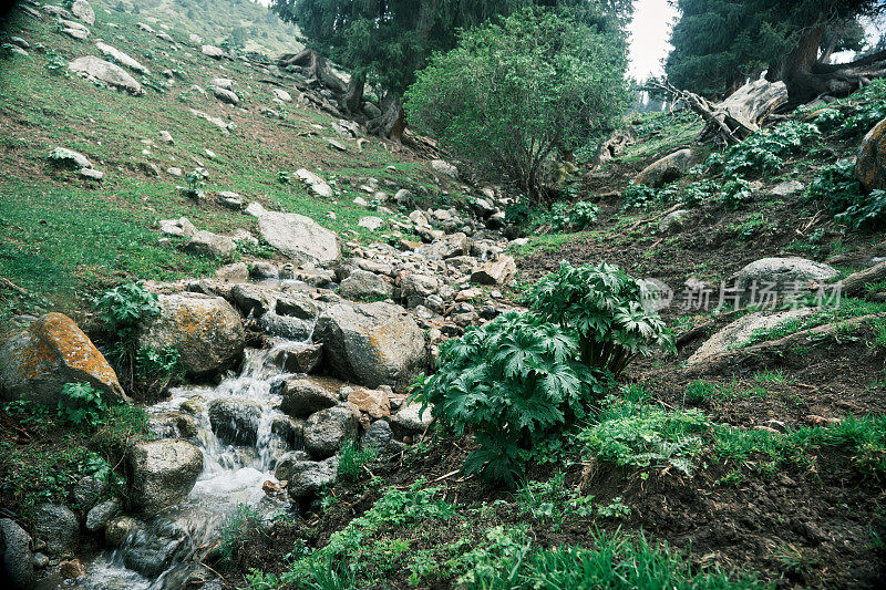 山间河流