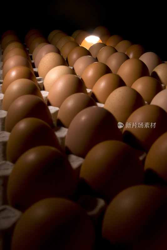 鸡蛋从人群中脱颖而出