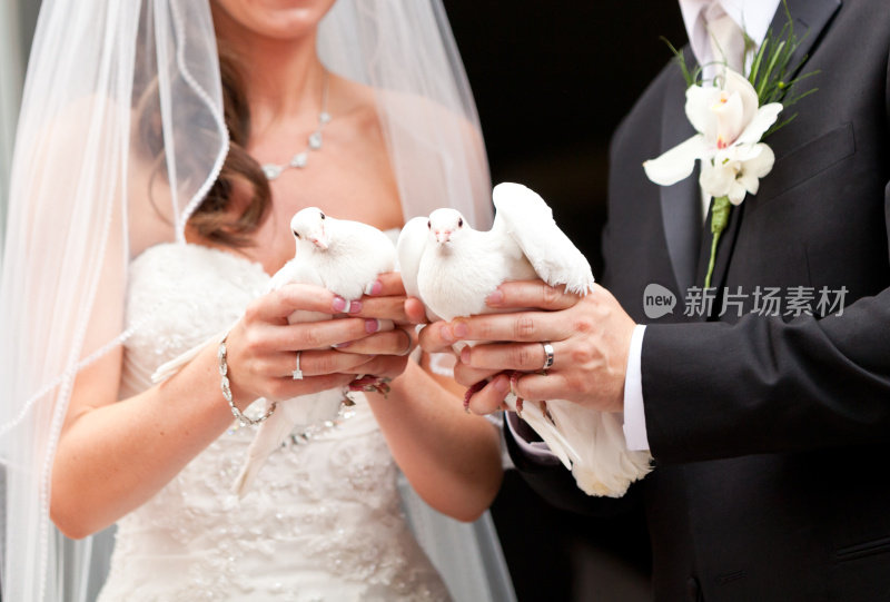 新婚夫妇和白鸽