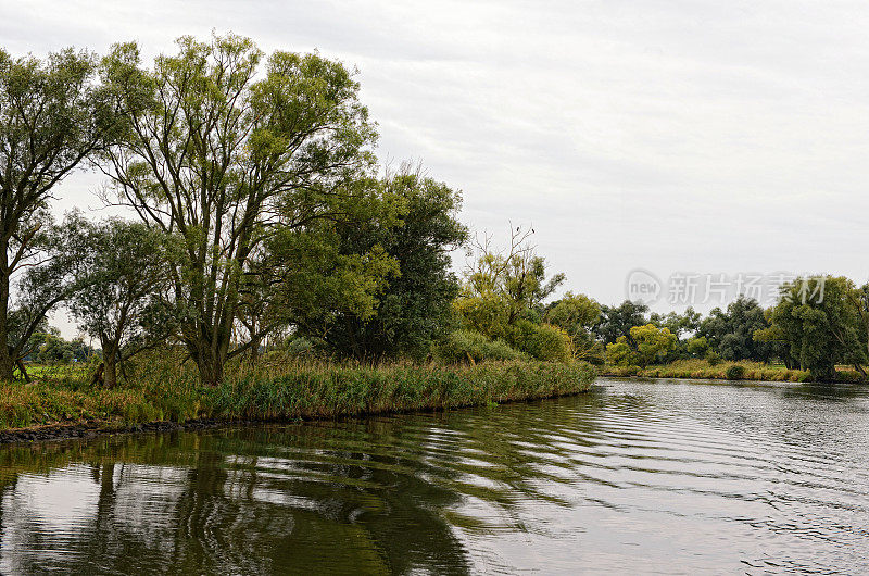 哈维尔河景观有柳树和草地