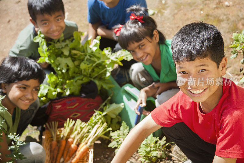 一群孩子骄傲地从社区菜园收获蔬菜。