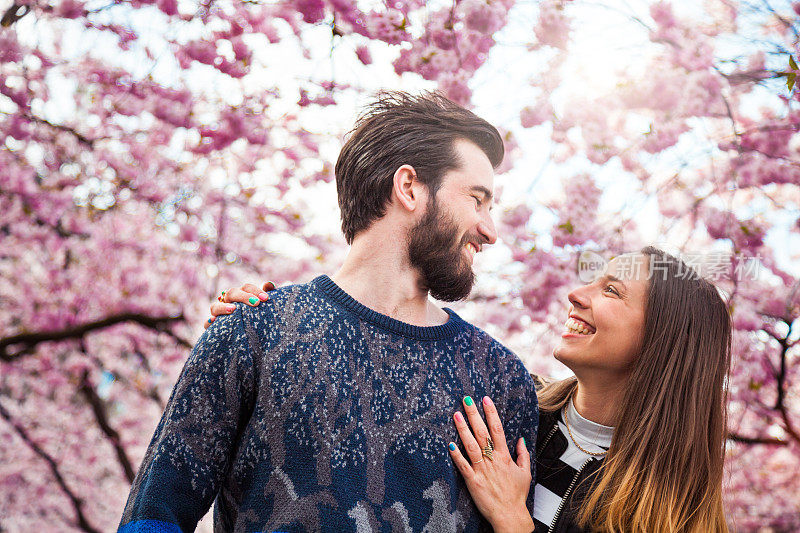 一对年轻夫妇在一棵美丽的樱桃树下相爱