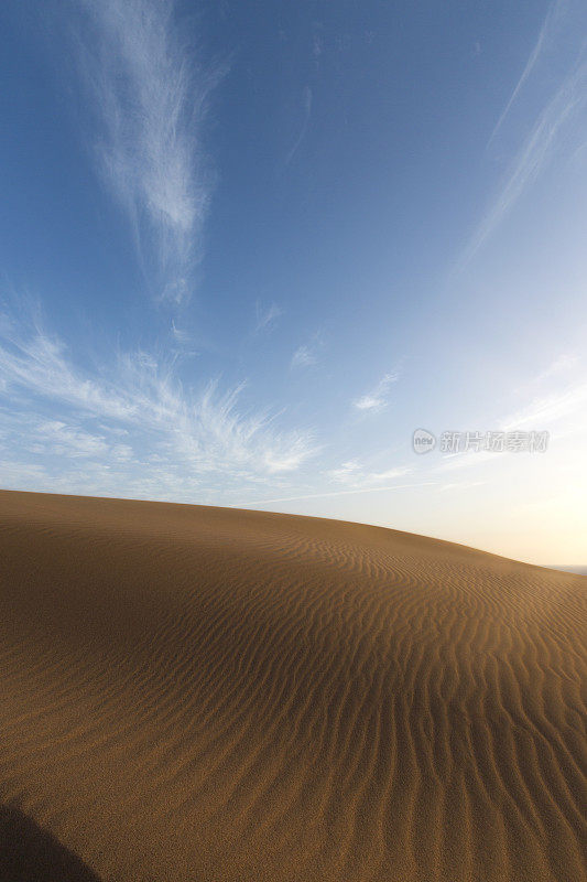 沙的沙漠