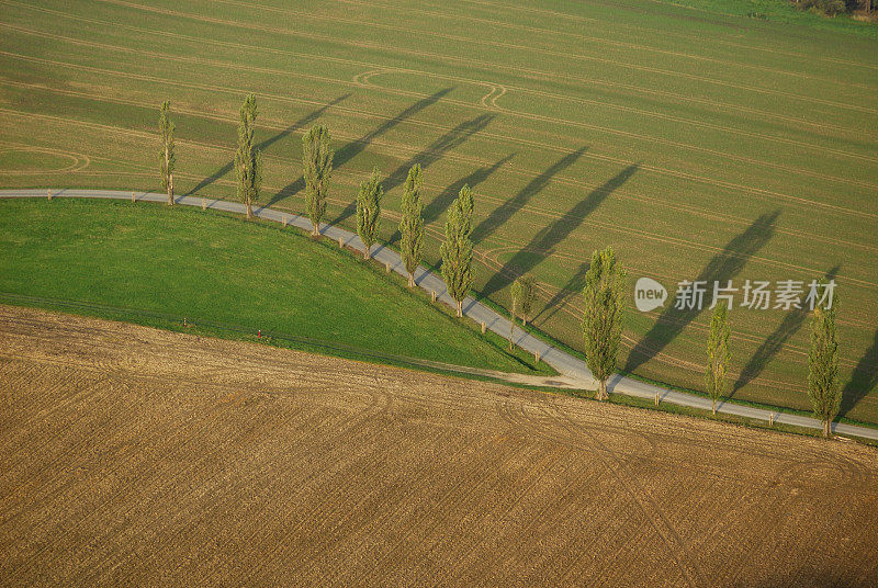 田野、街道和白杨树