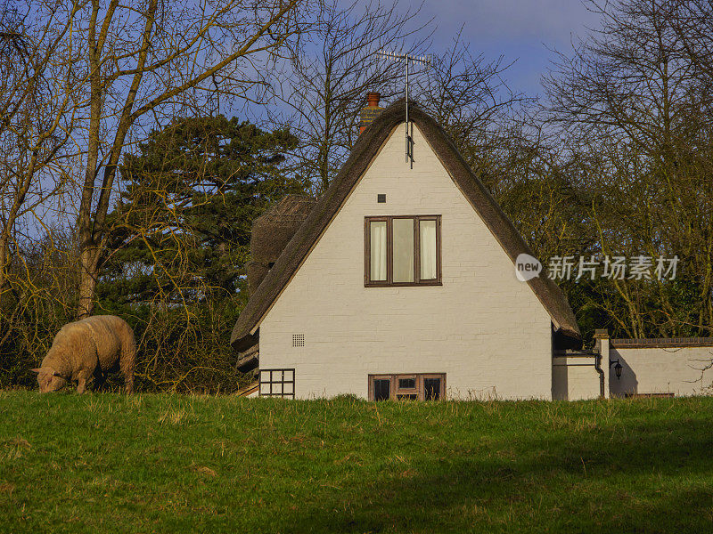 小屋