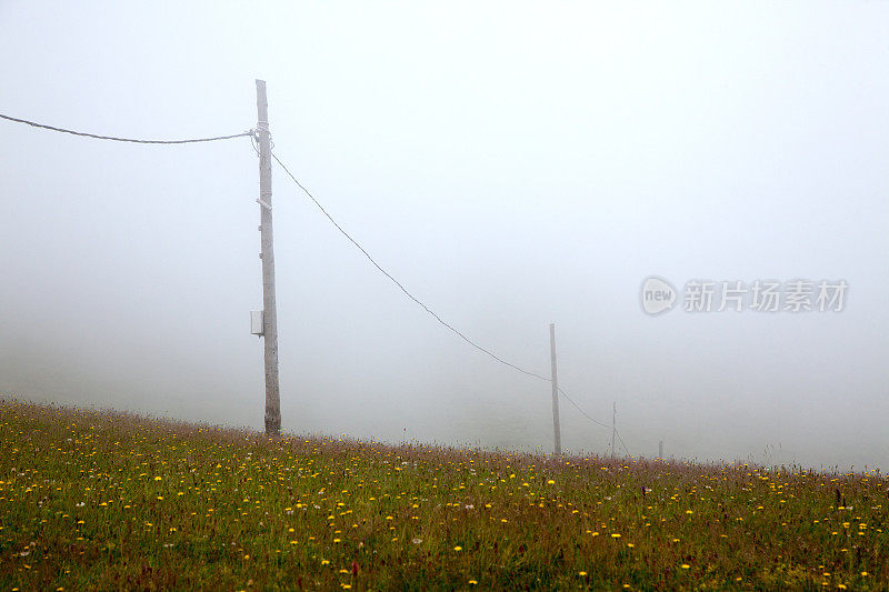 雾中的电线杆