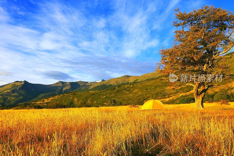 露营帐篷，戏剧性的智利巴塔哥尼亚风景日出，托雷斯德尔潘恩