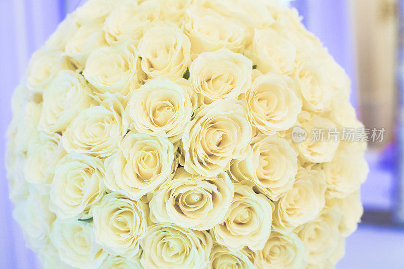 白、黄、蓝、紫的玫瑰花束
