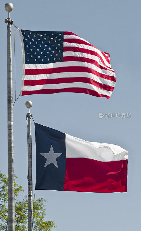微风中飘扬的美国和德克萨斯国旗