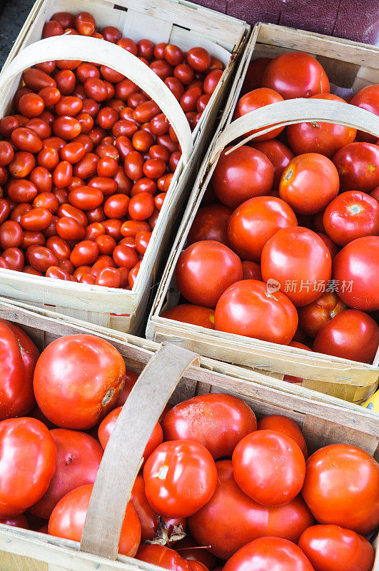 篮子番茄品种