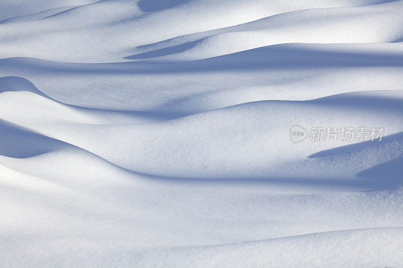 雪地里