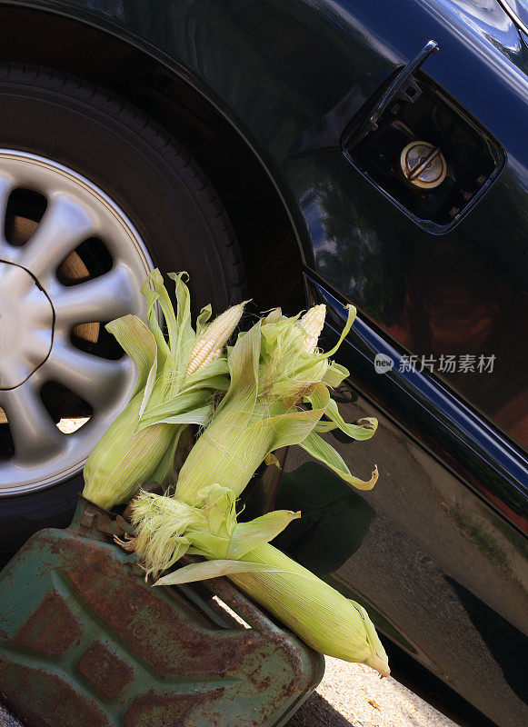 生物燃料