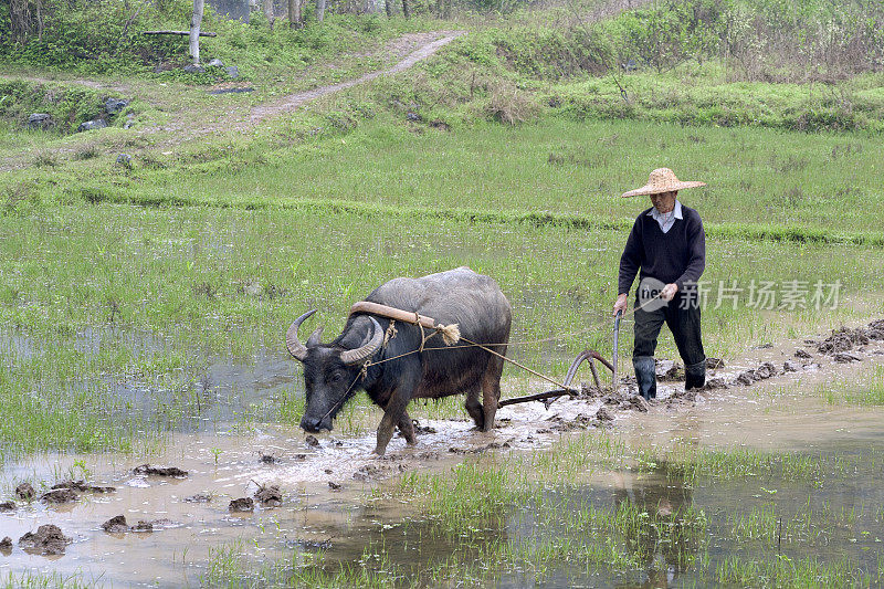 农民在中国工作