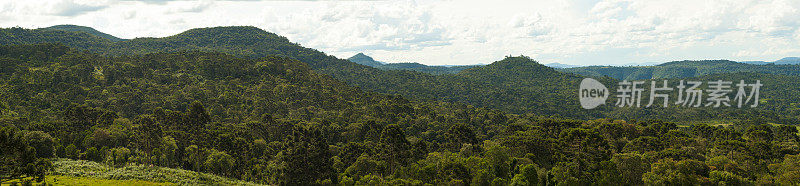 巴西南部的亚热带南洋杉湿润森林生态区。