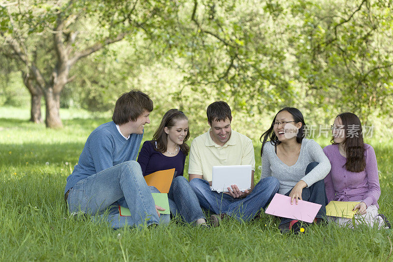 多民族学生与笔记本电脑坐在草地上