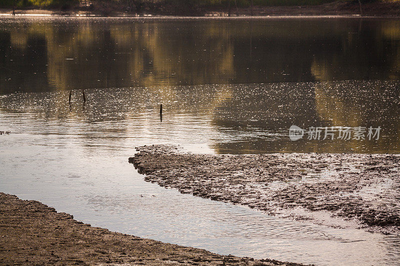 多瑙河退潮，露出烂泥