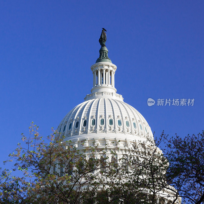 特写国会大厦圆顶，自由女神像，华盛顿特区。