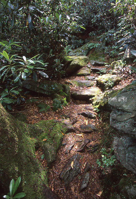 石阶自然小径大烟山北卡罗莱纳州