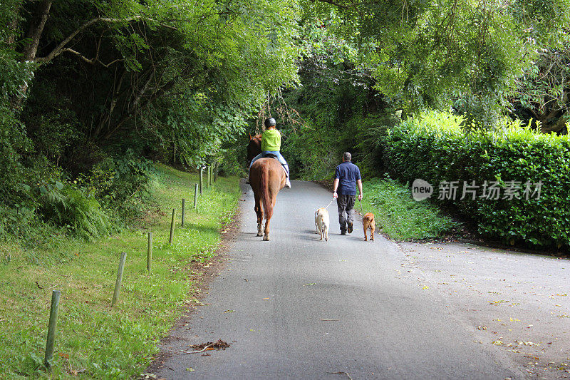 小女孩喜欢骑马课，爸爸遛狗，乡间小路