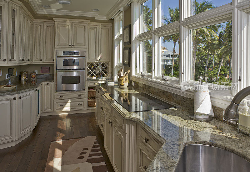 美丽的定制厨房与棕榈树的观点