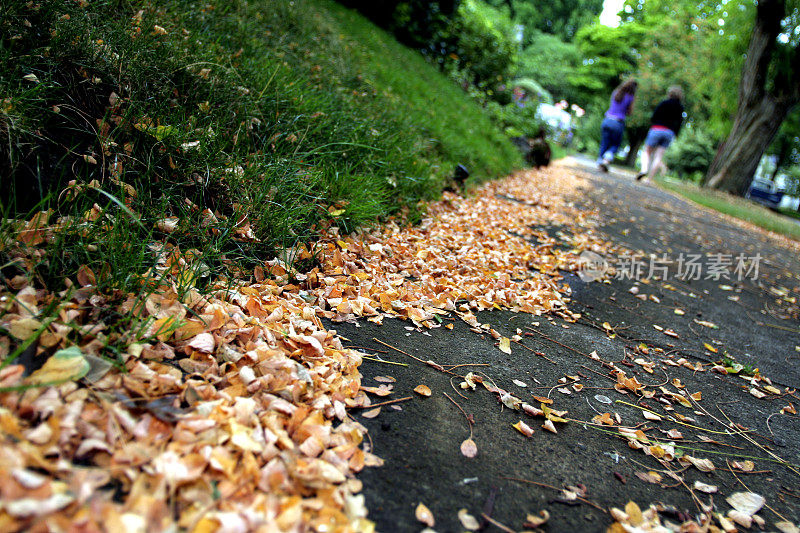 跌倒在路上