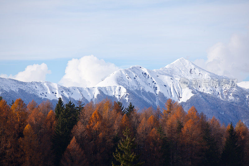 阿达梅洛布伦塔自然公园的雪山