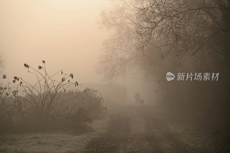 在沼泽中漫步