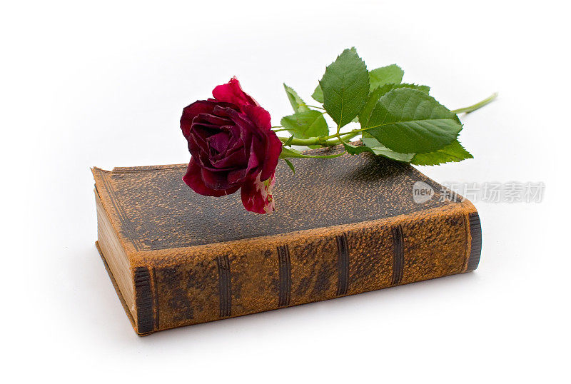 很旧的书，还有深红色的玫瑰
