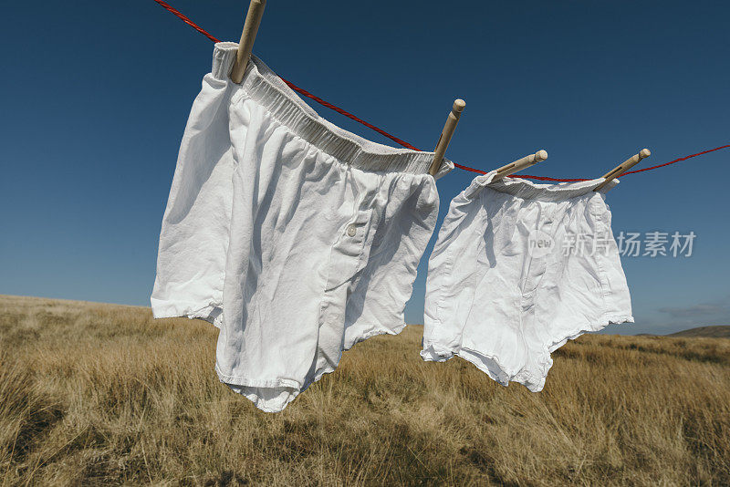 在乡村背景下，白色的平角裤挂在晾衣绳上。
