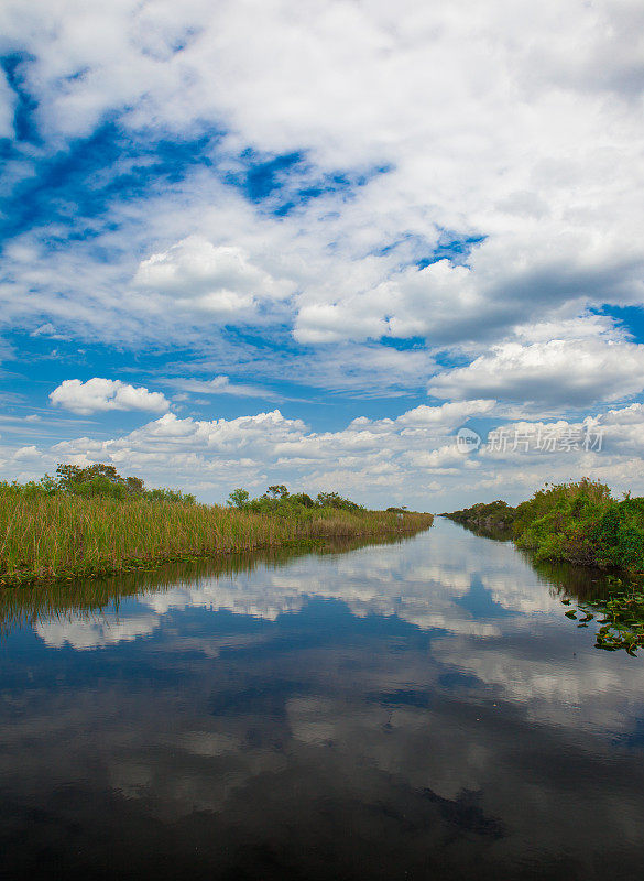 美国佛罗里达大沼泽地